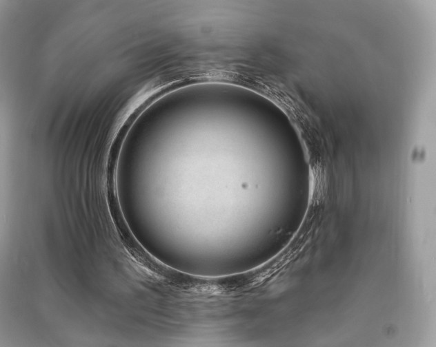 X0000091370195200708101539