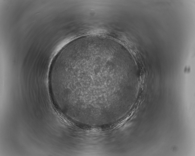 X0000091370196200708101539