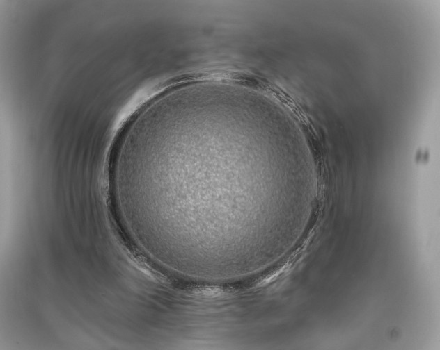 X0000091370198200708101539