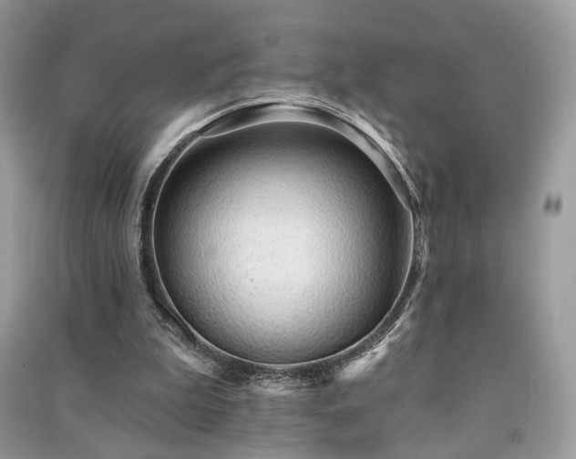 X0000091370199200708101539