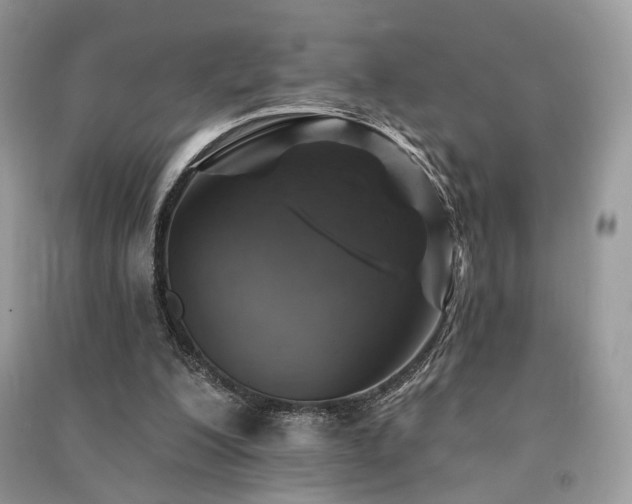 X0000091370200200708101539