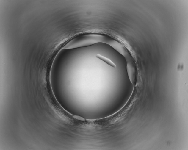 X0000091370201200708101539