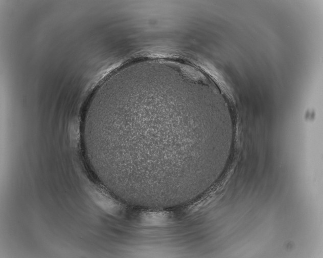 X0000091370202200708101539