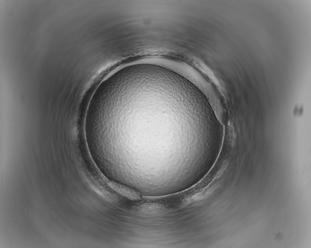 X0000091370203200708101539