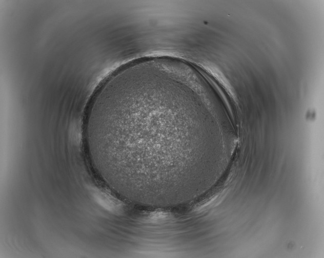 X0000091370204200708101539