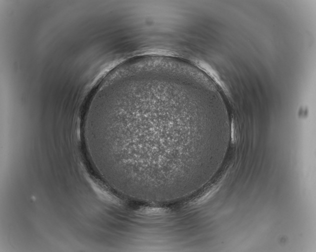 X0000091370205200708101539