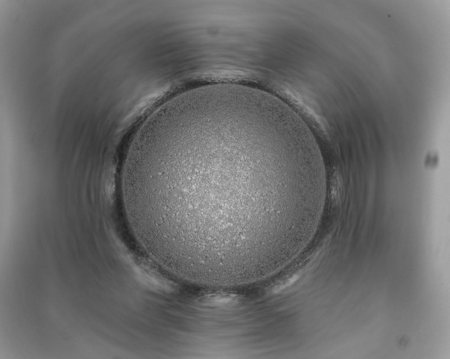 X0000091370206200708101539