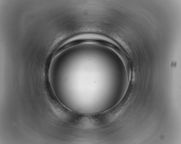 X0000091370207200708101539