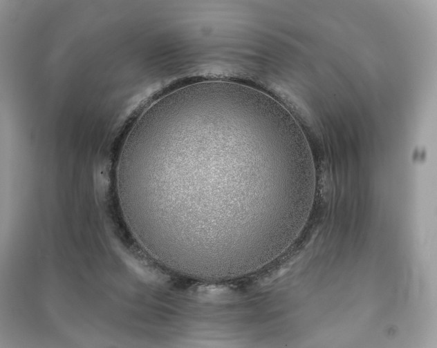 X0000091370208200708101539