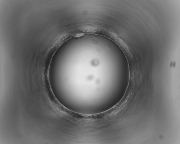 X0000091370209200708101539