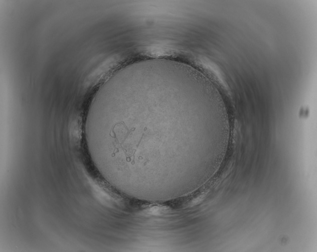 X0000091370210200708101539