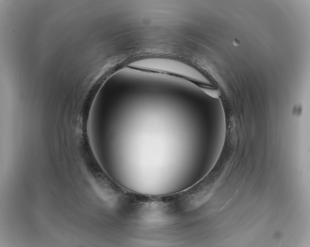 X0000091370212200708101539