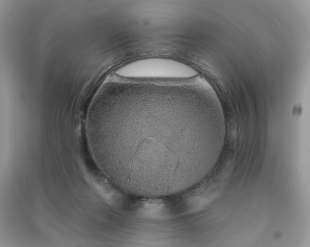 X0000091370214200708101539