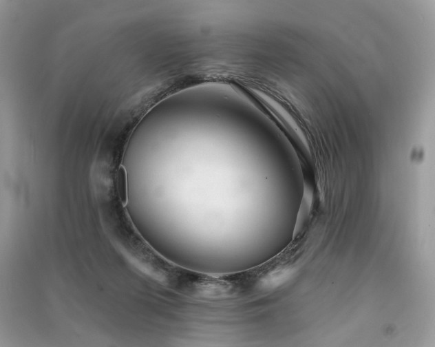 X0000091370215200708101539