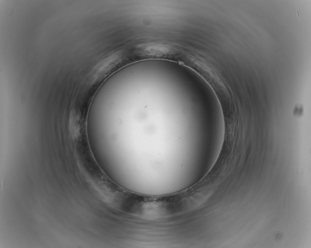 X0000091370216200708101539