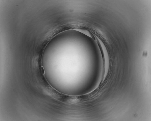 X0000091370217200708101539