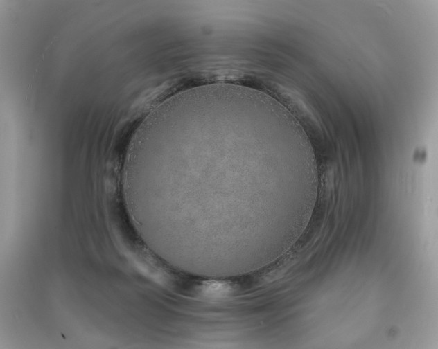 X0000091370218200708101539