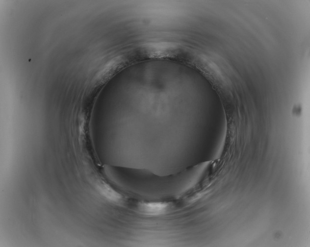 X0000091370219200708101539