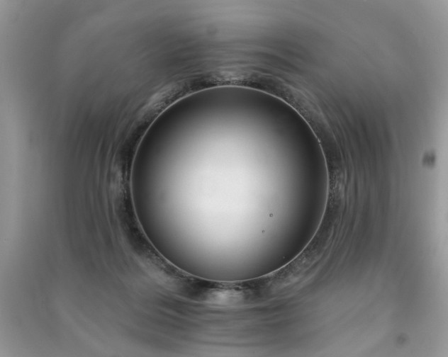 X0000091370220200708101539