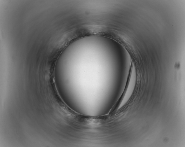 X0000091370221200708101539