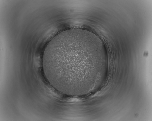 X0000091370224200708101539