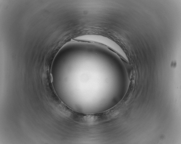 X0000091370225200708101539