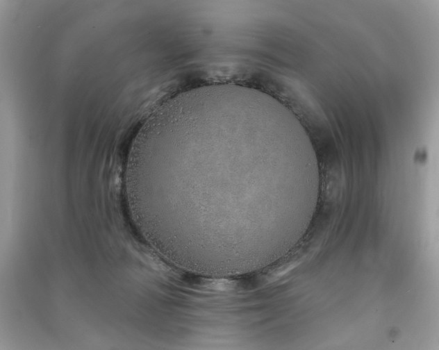 X0000091370226200708101539