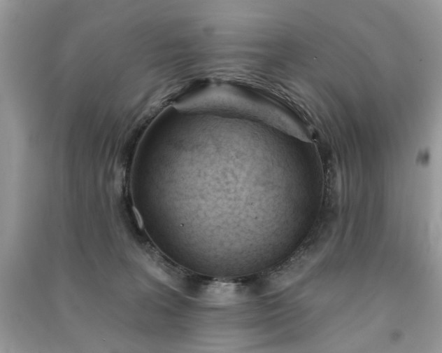 X0000091370227200708101539