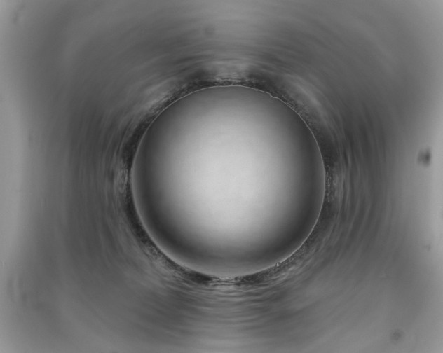 X0000091370228200708101539