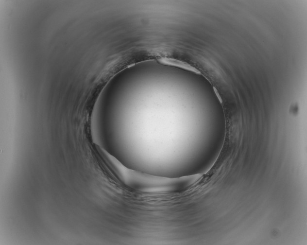 X0000091370229200708101539