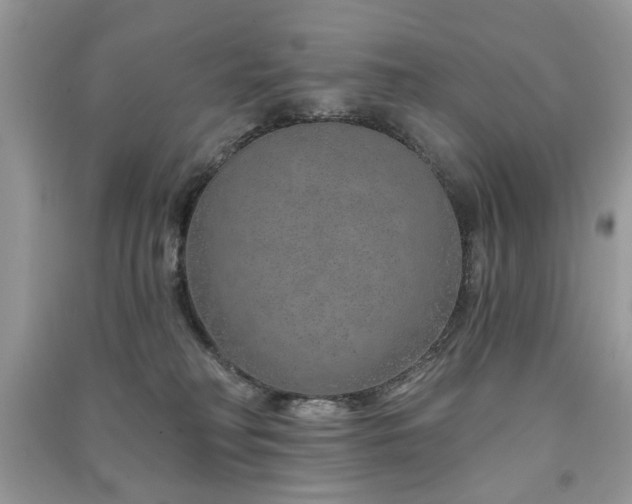 X0000091370230200708101539