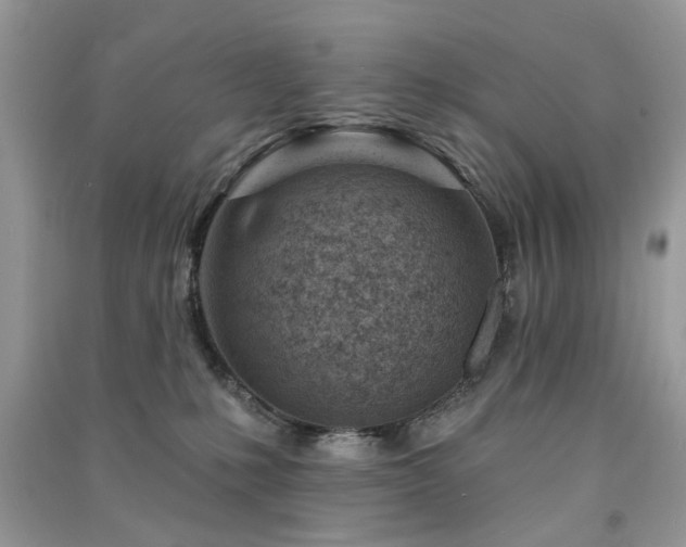 X0000091370231200708101539