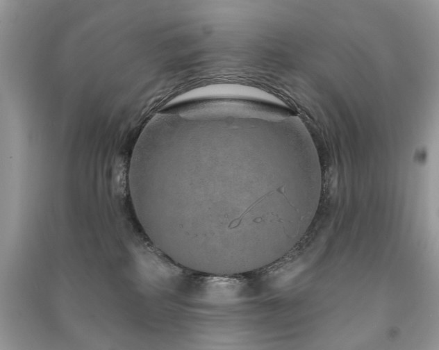 X0000091370234200708101539