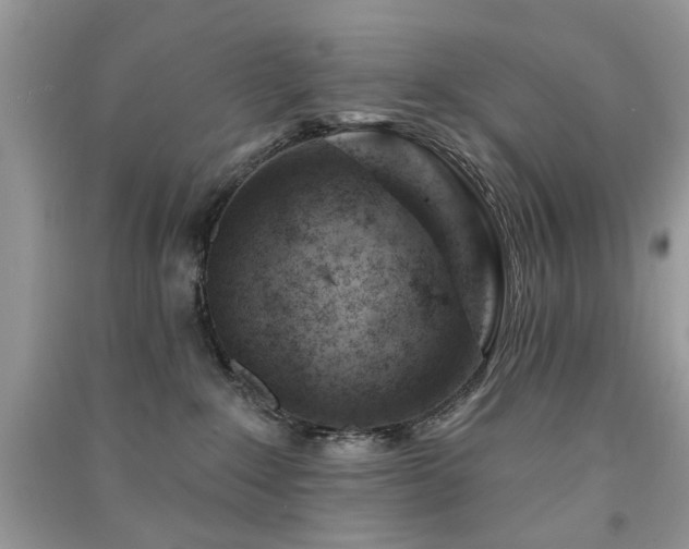 X0000091370235200708101539