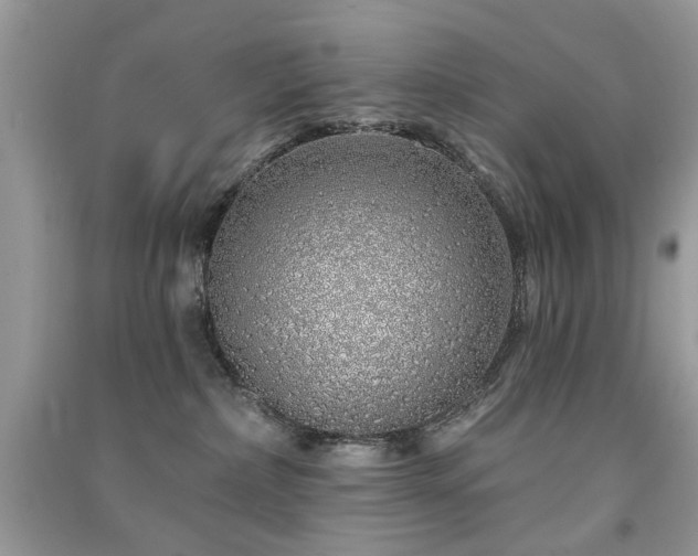 X0000091370236200708101539