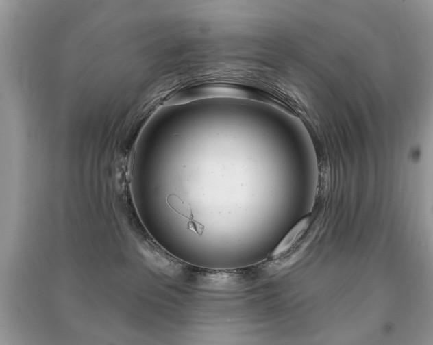 X0000091370237200708101539