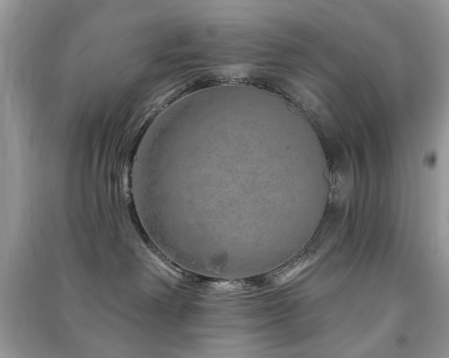 X0000091370238200708101539