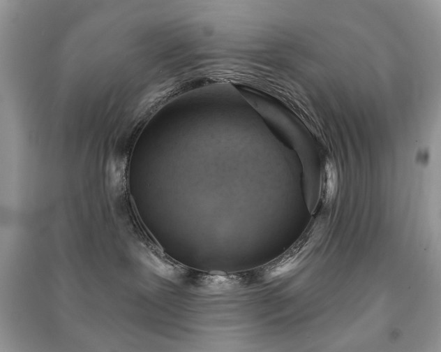 X0000091370239200708101539