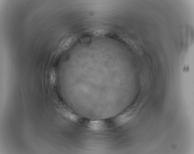 X0000091370240200708101539