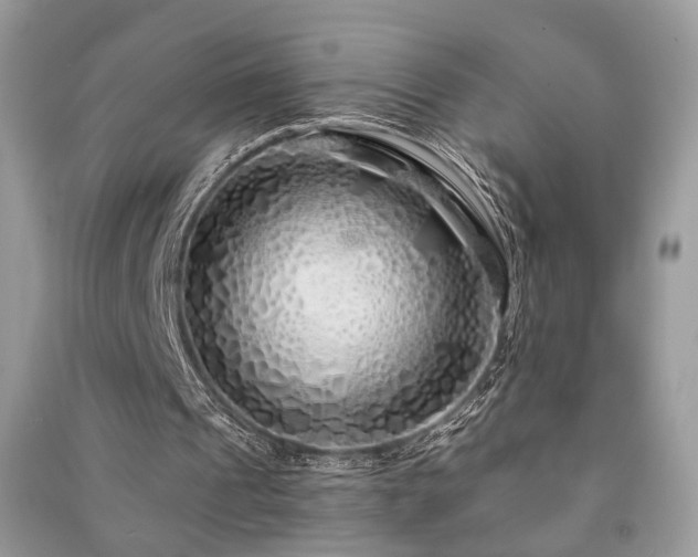 X0000091370241200708101538