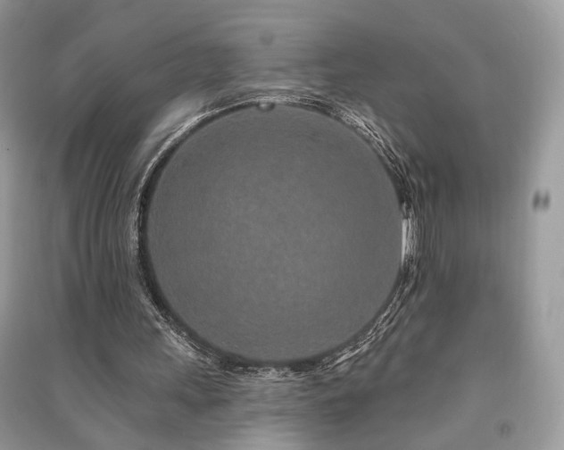 X0000091370243200708101538