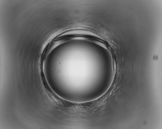 X0000091370244200708101538