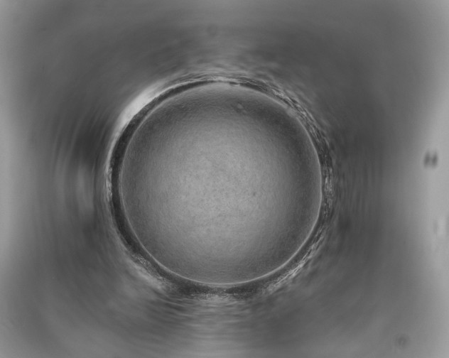 X0000091370246200708101538