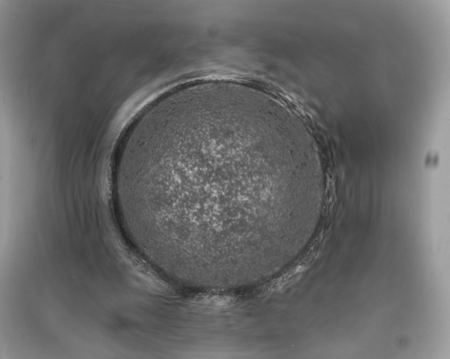 X0000091370247200708101538