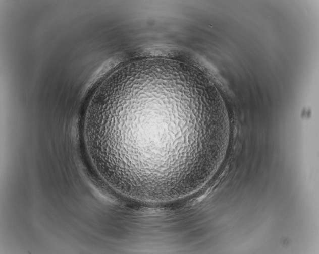 X0000091370250200708101538