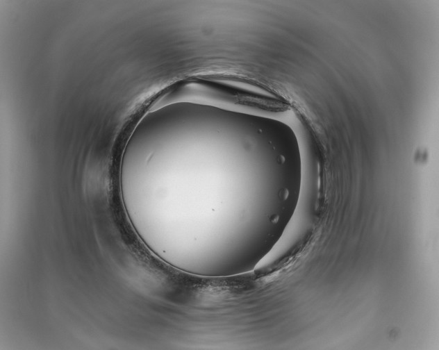 X0000091370252200708101538