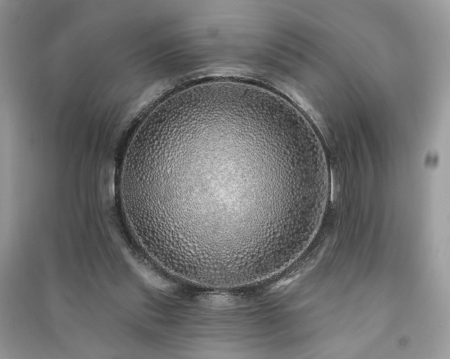 X0000091370253200708101538