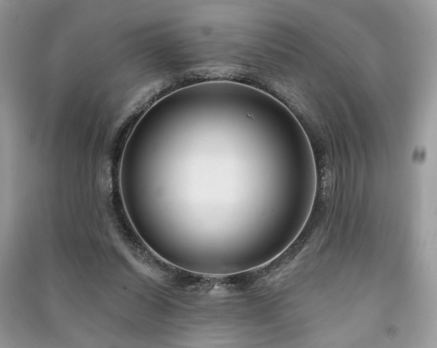 X0000091370254200708101538