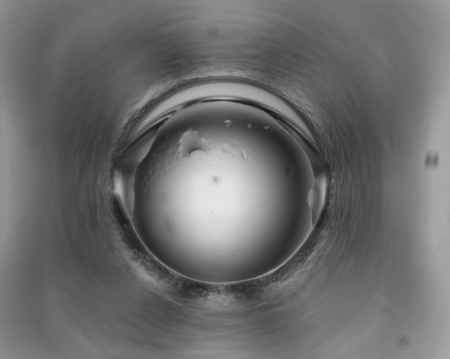 X0000091370256200708101538