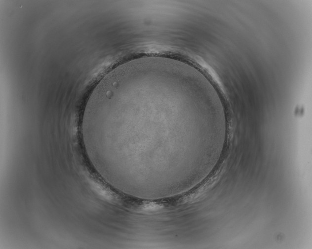 X0000091370257200708101538